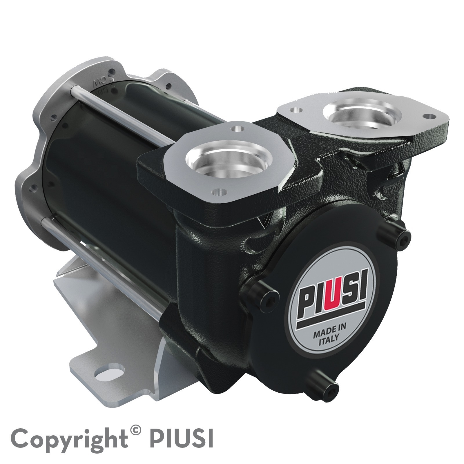 Máy bơm dầu diesel Piusi BP3000 12/24V
